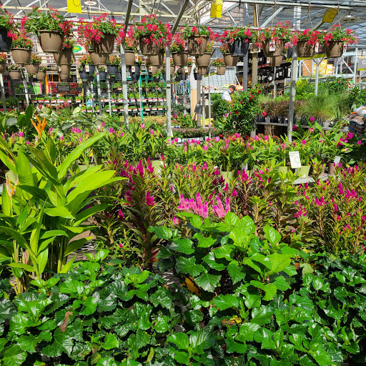 Home Improvement Store «The Home Depot», reviews and photos, 30144 US Hwy 19 N, Clearwater, FL 33761, USA