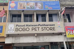 BOBO Pet shop image