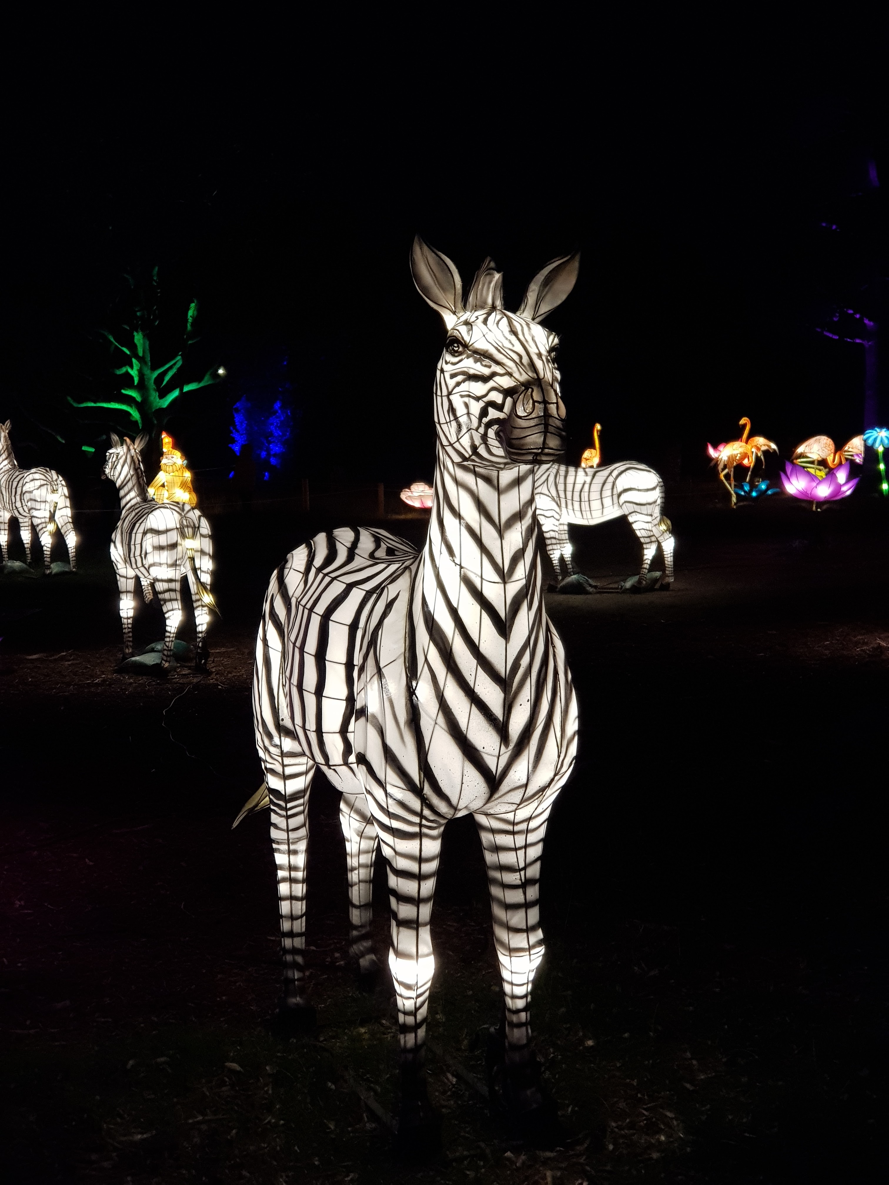 Photo n° 17 de l'avis de AlexBebop. fait le 30/12/2019 à 10:04