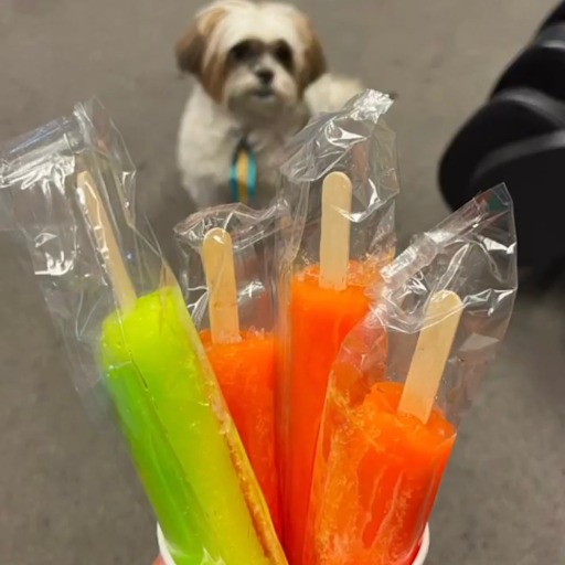 Moving Company «College Hunks Hauling Junk and Moving», reviews and photos, 655 S Orcas St Ste 100, Seattle, WA 98108, USA