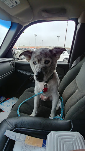 Pet Supply Store «PetSmart», reviews and photos, 320 2nd St S, Waite Park, MN 56387, USA