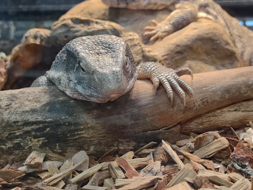 Pet Supply Store «House of Pets Inc», reviews and photos, 29500 Ford Rd, Garden City, MI 48135, USA