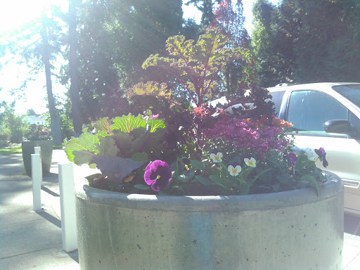 Park «Morrill Meadows Park», reviews and photos, 10600 SE 248th St, Kent, WA 98030, USA