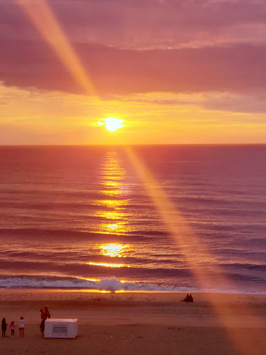 Home Improvement Store «Tractor Supply Co.», reviews and photos, 921 River Rd, Charlottesville, VA 22901, USA