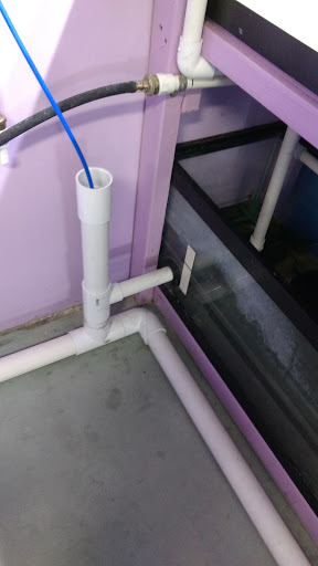 Fish Farm «Aquarium & Garden Inc.», reviews and photos, 1610 S 341st Pl f, Federal Way, WA 98003, USA