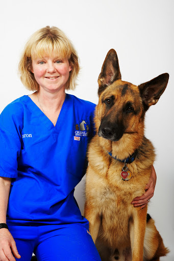 Green Lane Animal Hospital image