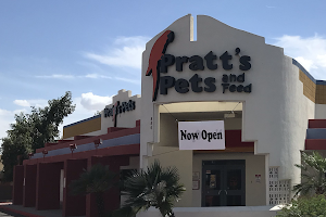 Pratt’s Pets - Mesa image