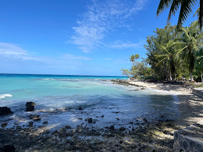 Au Coeur du Voyage à Paris