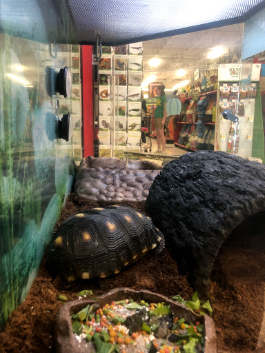 Pet Supply Store «Petco Animal Supplies», reviews and photos, 3264 Buford Dr NE #110, Buford, GA 30519, USA