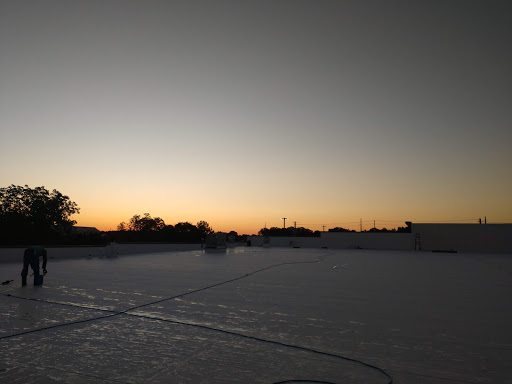 Grocery Store «Food Lion», reviews and photos, 136 Cedar Grove Rd, Ruckersville, VA 22968, USA