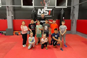 NST Fighting Academy image