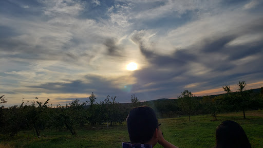 Winery «Echo Hill Orchards & Winery», reviews and photos, 101 Wilbraham Rd, Monson, MA 01057, USA