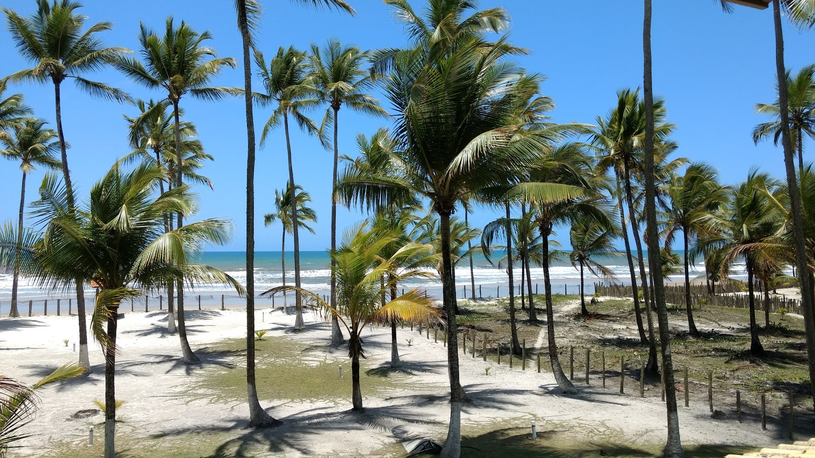 Valokuva Praia da Realeza Bahiaista. puhtaustasolla keskipitkä