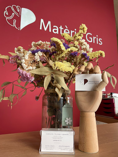 Matèria Gris - Centre de Psicologia i Logopèdia en Maçanet de la Selva, Girona