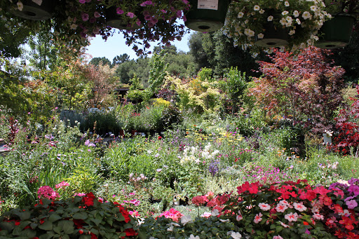 Garden Center «Ladera Garden & Gifts», reviews and photos, 3130 Alpine Rd #380, Portola Valley, CA 94028, USA