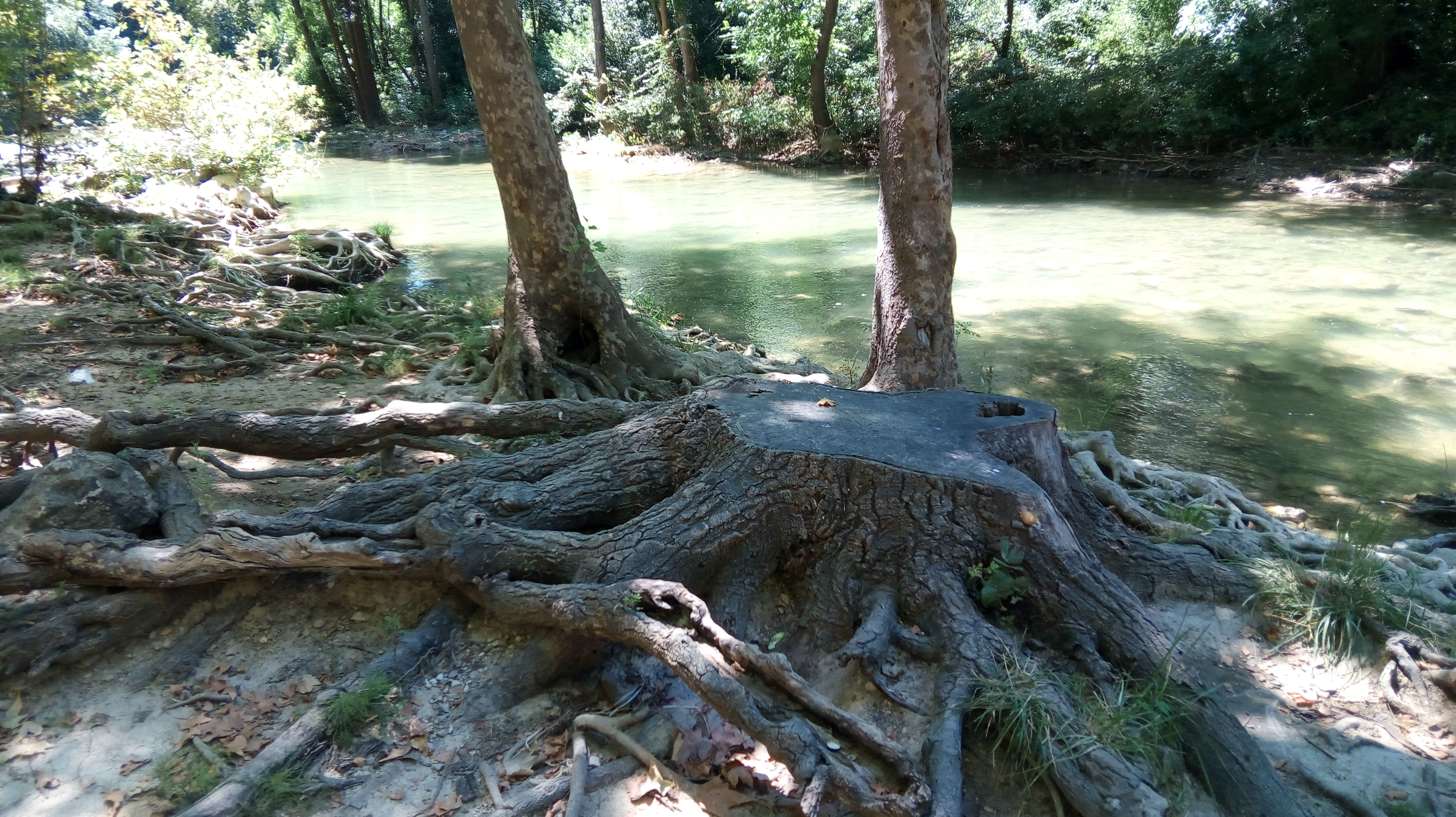 Photo n° 12 de l'avis de balades. fait le 11/07/2018 à 13:22