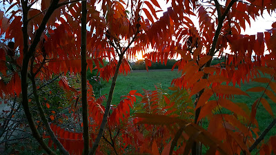 Plaquelec E.S.M à Saint-Sornin