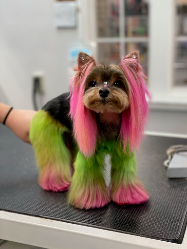 Pet Store «Canine Carousel», reviews and photos, 43135 Broadlands Center Plaza #129, Ashburn, VA 20148, USA