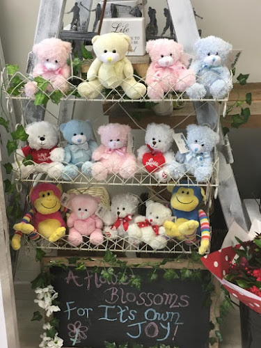 Comments and reviews of Garden City Florist
