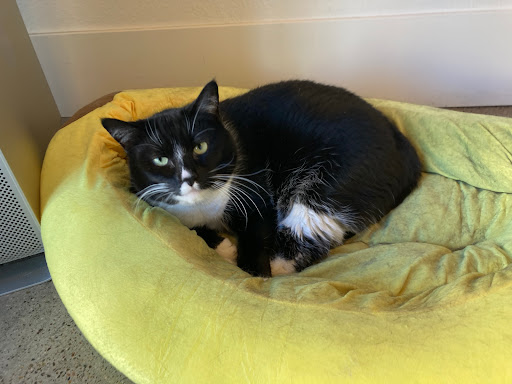 Computer Store «DC Computers», reviews and photos, 1070 University Ave J101, San Diego, CA 92103, USA