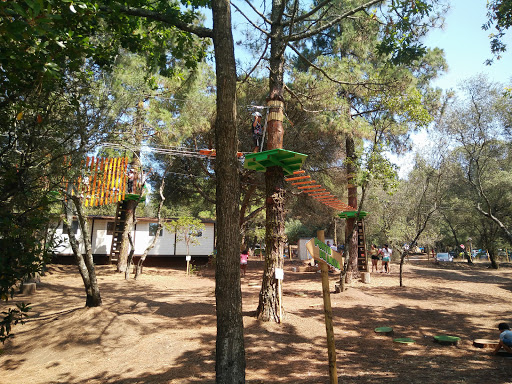 Feijão Verde Natura Fun Park Alfragide