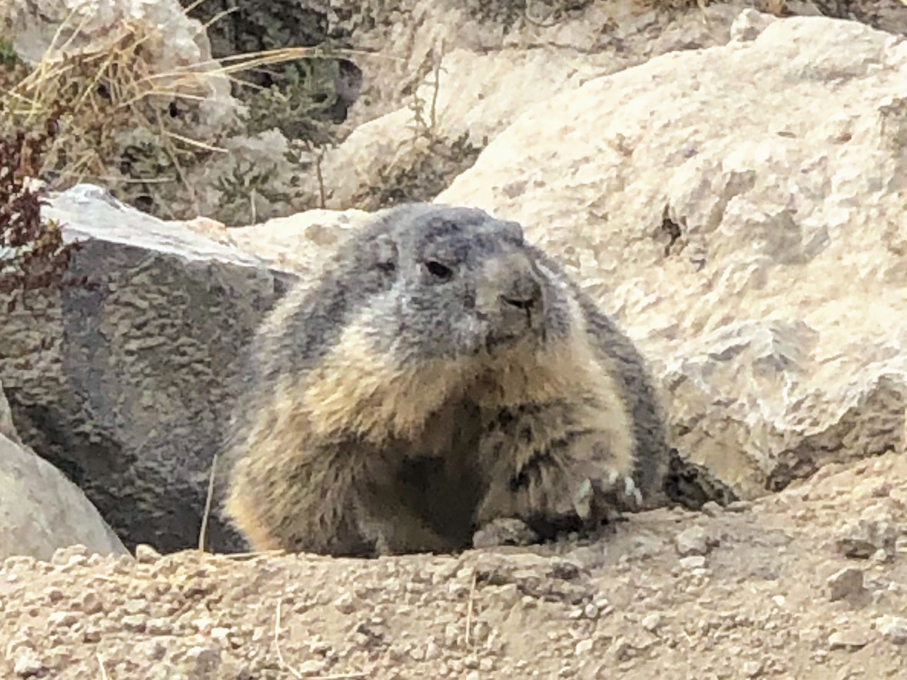 Photo n° 14 de l'avis de Jérémie.r fait le 28/08/2020 à 17:19