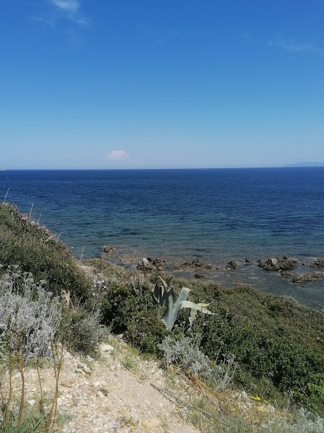 La Corse pour vacances Prunelli-di-Fiumorbo