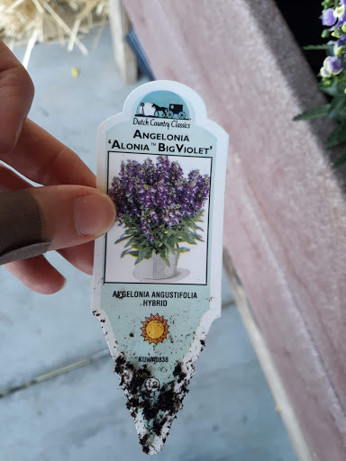 Grocery Store «Green Hills Farm Discount Grocer», reviews and photos, 615 E Newport Rd, Lititz, PA 17543, USA