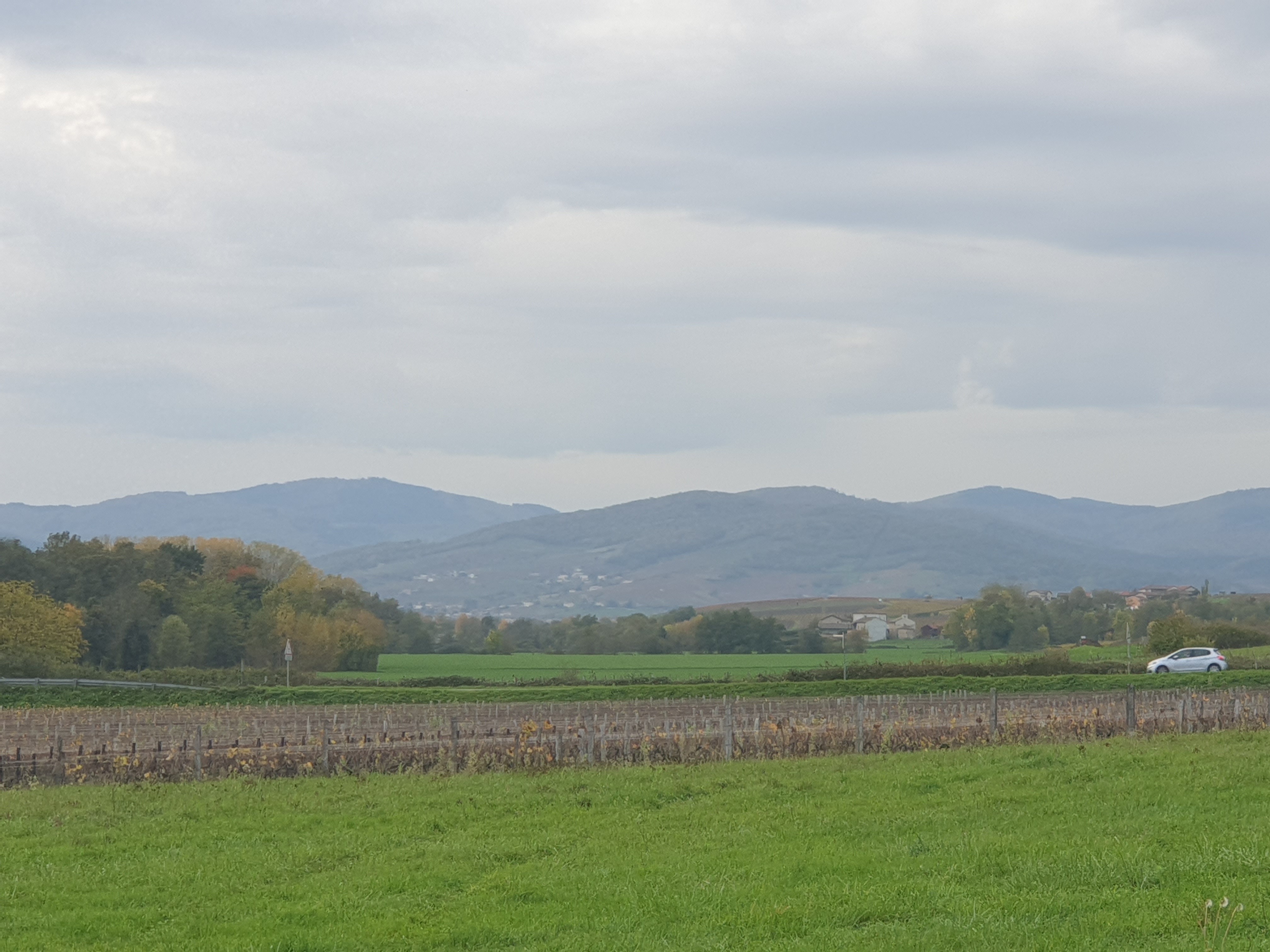 Photo n° 2 de l'avis de Caro.c fait le 14/11/2022 à 18:11