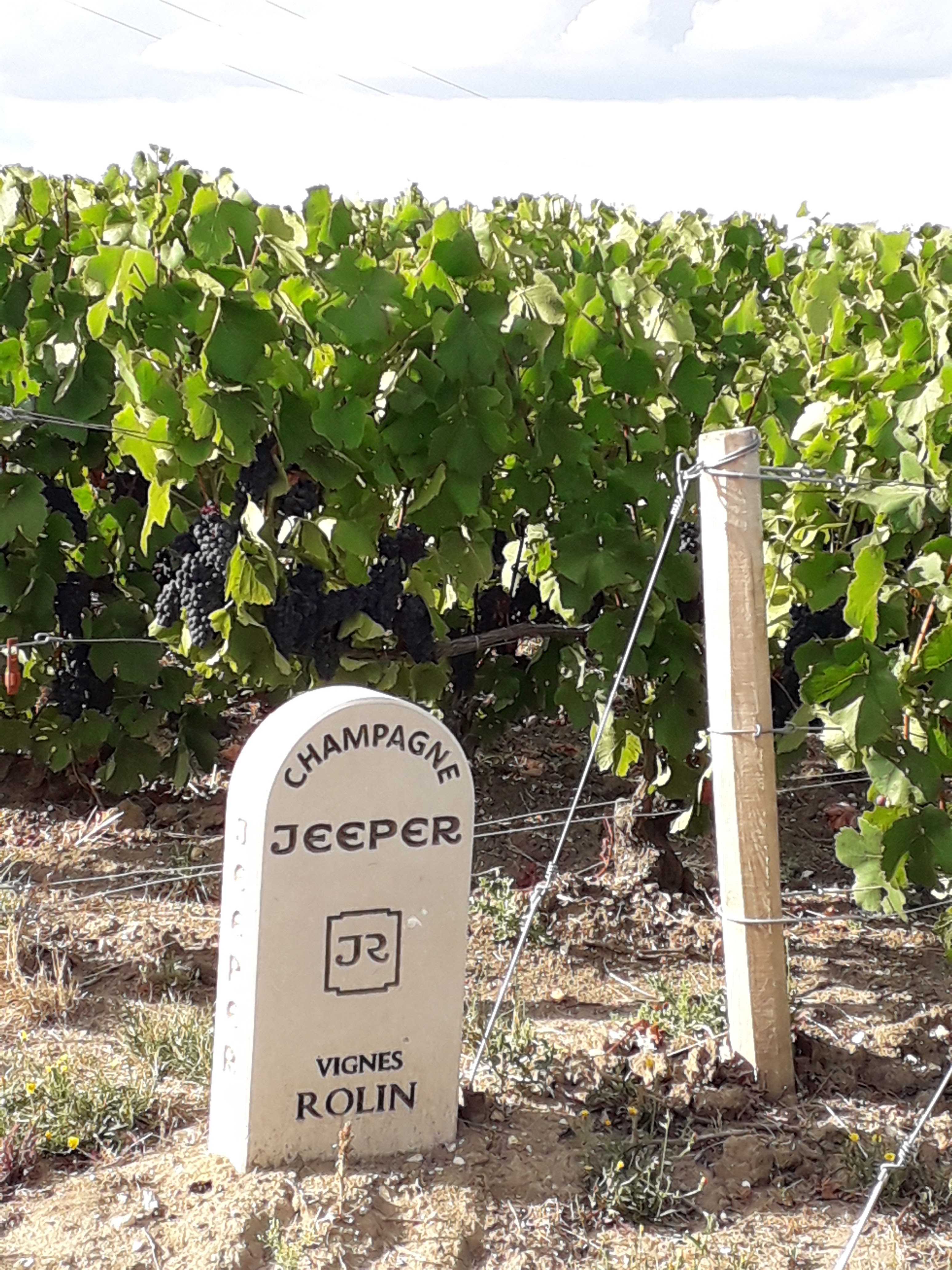 Photo n° 1 de l'avis de Cathy.r fait le 25/08/2018 à 19:04