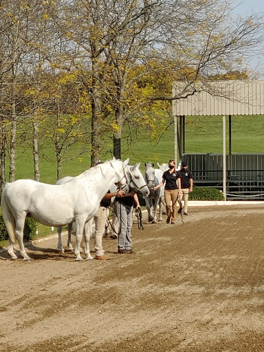 Tourist Attraction «The Tempel Lipizzans», reviews and photos, 17000 W Wadsworth Rd, Old Mill Creek, IL 60083, USA