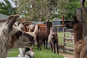 FIGMENT RANCH image