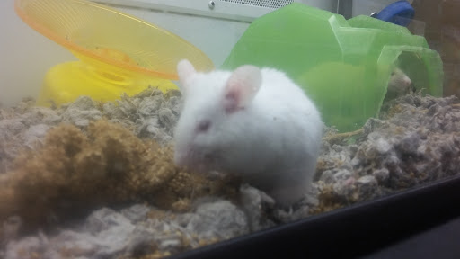 Pet Supply Store «Petco Animal Supplies», reviews and photos, 244 Pioneer Trail, Chaska, MN 55318, USA