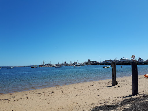 Lounge «Sage Inn and Lounge», reviews and photos, 336 Commercial St, Provincetown, MA 02657, USA