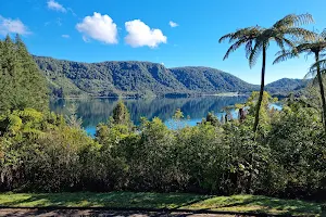 Lake Tikitapu (Blue Lake) image