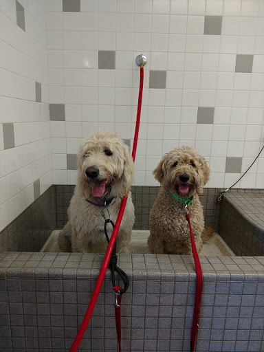 Pet Supply Store «Pet Food Express», reviews and photos, 912 Diablo Ave, Novato, CA 94947, USA