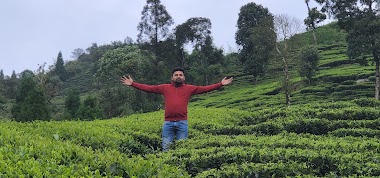Sarkar Travels