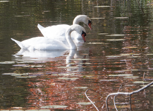 Golf Course «Huron Hills Golf Course», reviews and photos, 3465 E Huron River Dr, Ann Arbor, MI 48104, USA