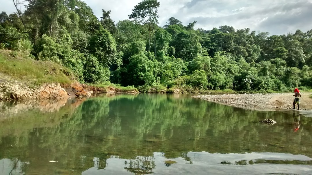Río Quembi