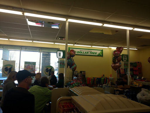 Dollar Store «Dollar Tree», reviews and photos, 8491 Grand River Ave, Brighton, MI 48116, USA