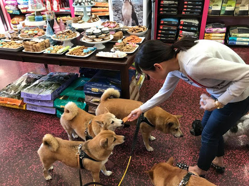 Pet Groomer «Woof Gang Bakery & Grooming Las Vegas», reviews and photos, 7080 N Durango Dr #140, Las Vegas, NV 89149, USA