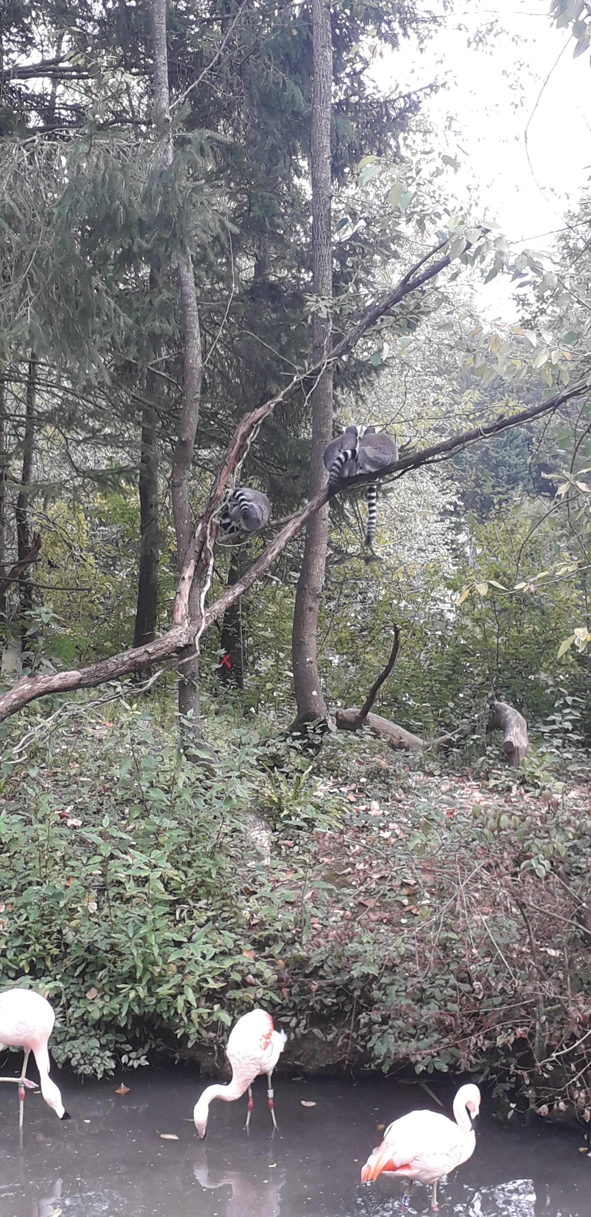 Photo n° 21 de l'avis de lilou.i fait le 19/09/2020 à 16:48