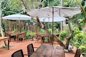 Big Tree Cafe image
