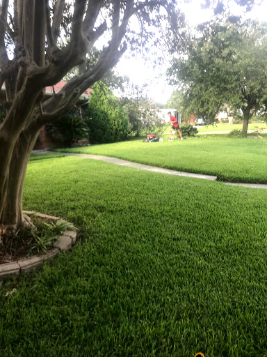 Charity «The Blue Bird Circle», reviews and photos, 615 W Alabama St, Houston, TX 77006, USA