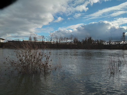 Grocery Store «Safeway», reviews and photos, 1265 Center St NE, Salem, OR 97301, USA