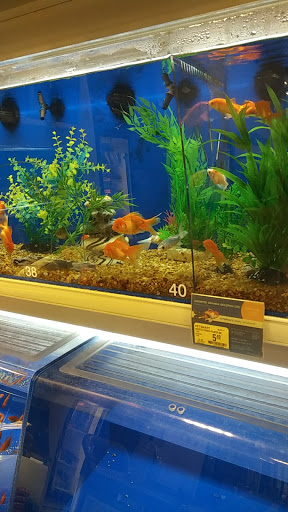 Pet Supply Store «PetSmart», reviews and photos, 7177 SE 29th St, Midwest City, OK 73110, USA