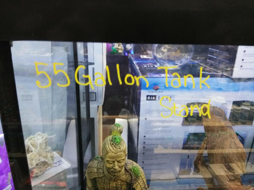 Aquarium Shop «Exotic Aquariums», reviews and photos, 7399 Bird Rd, Miami, FL 33155, USA