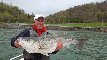 Fish On! Guided Tours Knoxville, TN Fishing Charters
