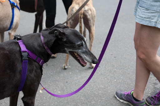 Park «Potomac Overlook Regional Park», reviews and photos, 2845 Marcey Rd, Arlington, VA 22207, USA