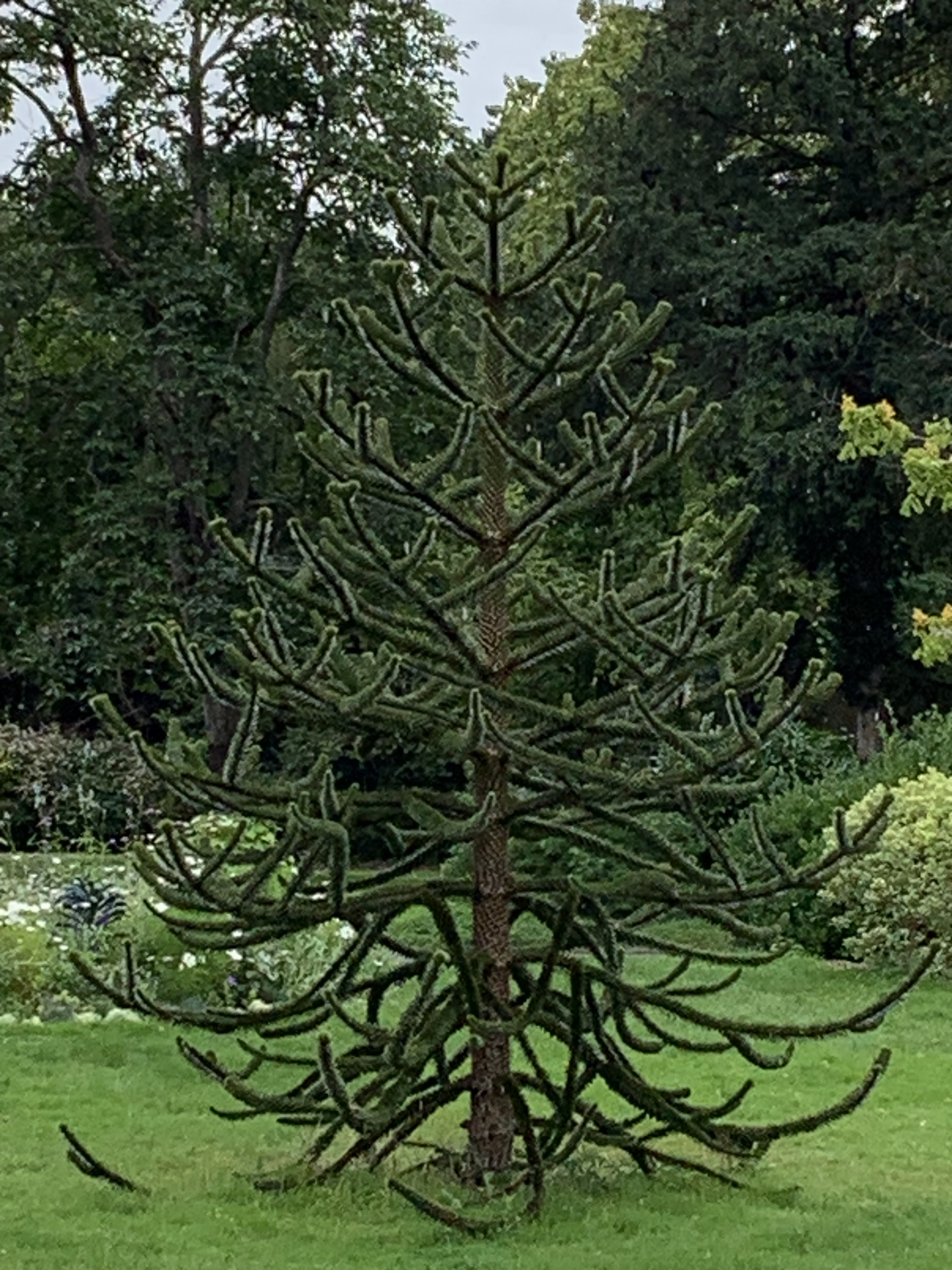 Photo n° 3 de l'avis de Girin.M fait le 22/10/2023 à 15:20